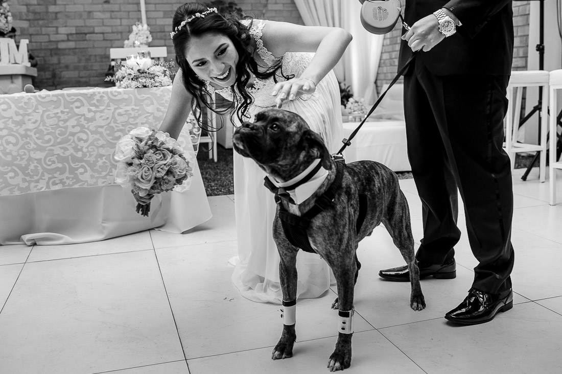 boda civil la molina lima peru omar berr