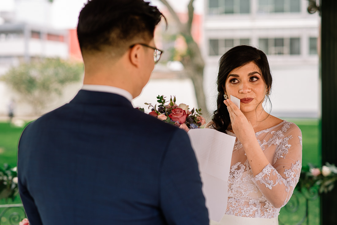 vestido de novia, novio, matrimonio, bouquet, sesion de fotos, bulldog frances