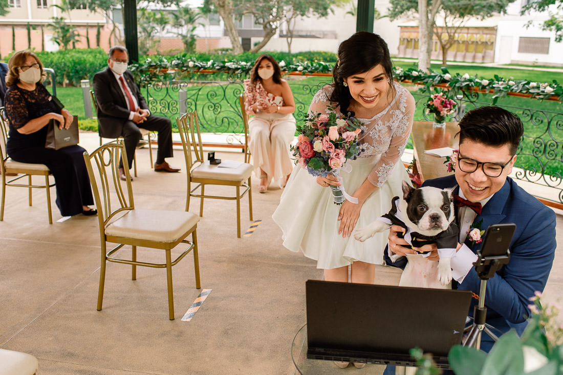 vestido de novia, novio, matrimonio, bouquet, sesion de fotos, bulldog frances