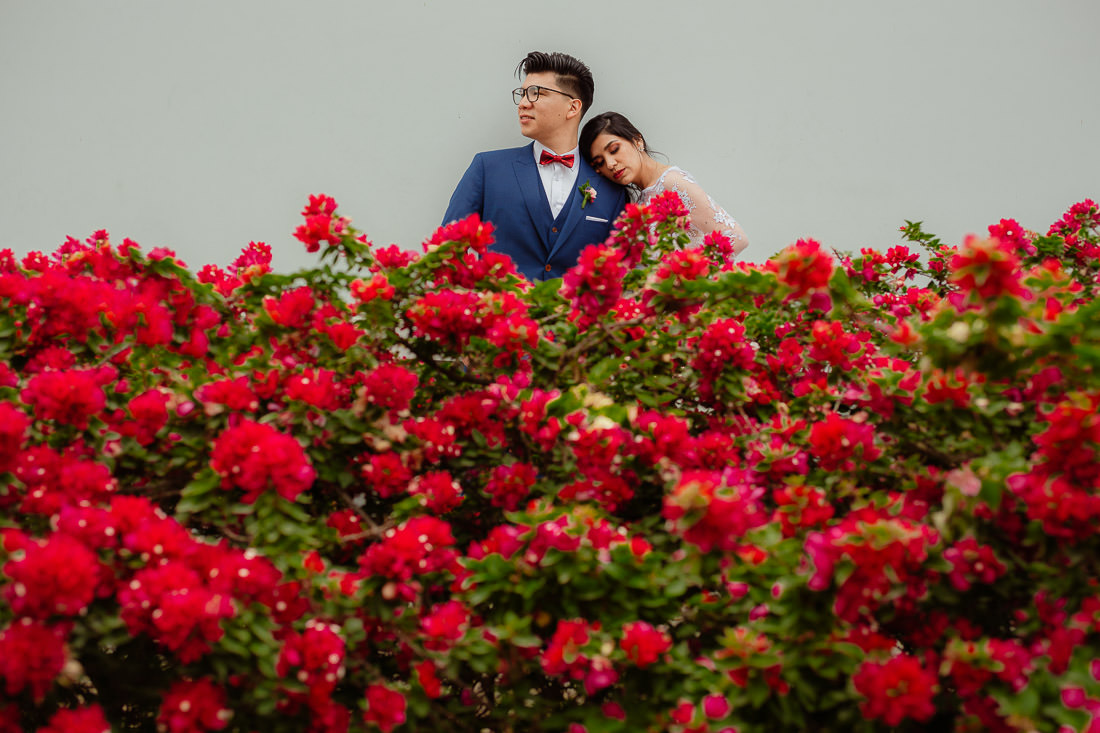 vestido de novia, novio, matrimonio, bouquet, sesion de fotos, bulldog frances